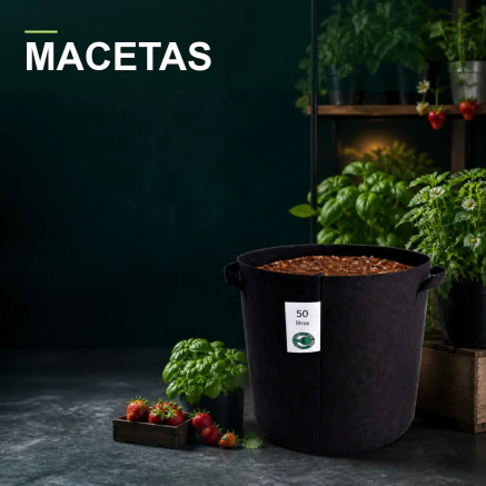Maceta