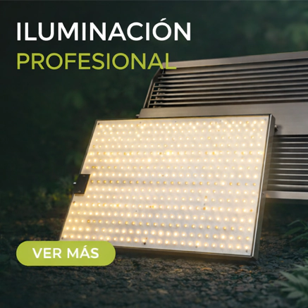 Iluminacion