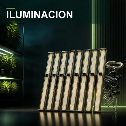 Iluminacion