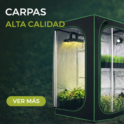 Carpas