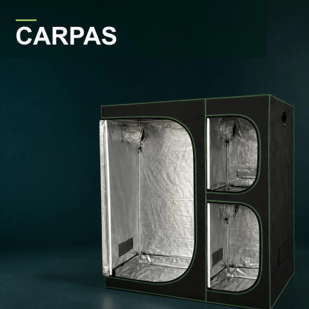 Carpas