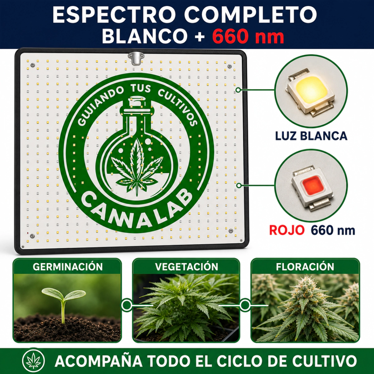 LED CANNALAB QUANTUM Q50W